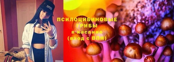 соль курить ск Богородицк