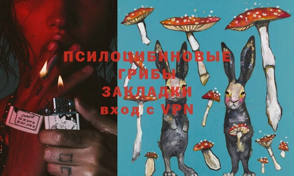 МДПВ Беломорск